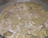 A picture of step 11 of Shahi white qorma.