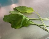 Une image de l'étape 1 de Sauce salade à l'ail des ours.