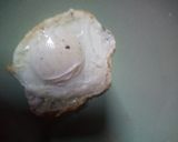 A picture of step 3 of Half Fry Egg.