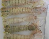 Foto langkah ke 1 dari resep Udang Ronggeng/Mantis Shrimp.