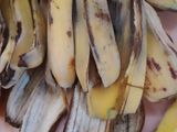 Abon Kulit Pisang
