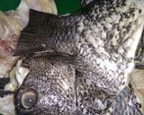 Foto langkah ke 1 dari resep Sop ikan kakap sederhana.