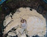 Une image de l'étape 4 de Harira ou soupe marocaine.