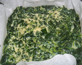 Foto del paso 10 de la receta: Rollo de espinacas relleno de salmón y queso philadelphia