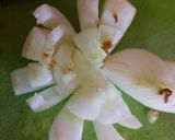 Foto del paso 1 de la receta: Flor de Cebolla