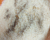Foto del paso 5 de la receta: Flan di Parmigiano en ensalada con vinagreta de frutos rojos