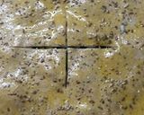 Foto del paso 4 de la receta: Tarta de espinaca