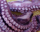 Foto del paso 3 de la receta: Pica-pica de Pulpo con mejillones