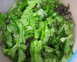 Foto del paso 1 de la receta: Ensalada de frutos rojos ensalada de manzana