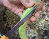 Hình bước làm 1 của món Me ngâm