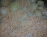 A picture of step 1 of Crispy creamy balls.