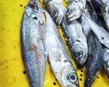 Une image de l'étape 1 de Poisson au four.