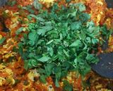 વેજ મુઘલાઈ પરાઠા (Veg. Mughlai Paratha Recipe In Gujarati) રેસીપી સ્ટેપ4ફોટો
