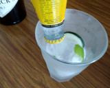 Foto del paso 3 de la receta: Gin tonic de hendricks