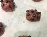 Foto langkah ke 4 dari resep Chocochip Cookies Milo Renyah Pt.2 / Kue Kering Lebaran / Kue Ke.
