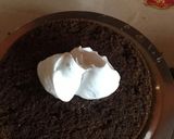 A picture of step 10 of Wheat flour chocolate cake.
