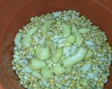 A picture of step 5 of Raw Pap made from scratch.