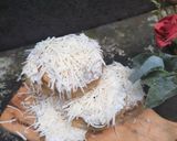 Foto langkah ke 7 dari resep Donat kentang lembut.