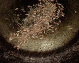 A picture of step 2 of Dal fry malai marke.