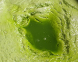 முடக்கத்தான் கீரை தோசை / Drumstick leaf dosai reciep in tamil ரெசிபி ஸ்டேப் 4 புகைப்படம்