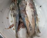 Foto langkah ke 1 dari resep Abon Ikan Peda.
