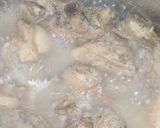 A picture of step 2 of Chicken veg filling.