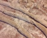 Foto del paso 6 de la receta: Ñoquis de Hongos