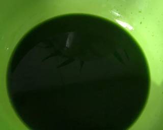 •CENDOL DAWET• 🤤 - Step 1