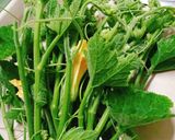 Hình bước làm 1 của món Đọt bí xào tỏi