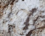 A picture of step 8 of Homemade Marshmallow Fluff Tart.
