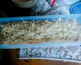 Foto langkah ke 5 dari resep Spaghetti Carbonara kornet.