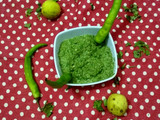 ગ્રીન ચટણી (Green Chutney Recipe in Gujarati)