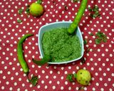 ગ્રીન ચટણી (Green Chutney Recipe in Gujarati) રેસીપી સ્ટેપ3ફોટો