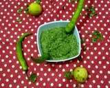 ગ્રીન ચટણી (Green Chutney Recipe in Gujarati) રેસીપી સ્ટેપ3ફોટો