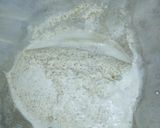 A picture of step 3 of Kunun aya(tiger nut).