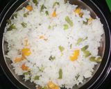 Vegetable white ricematakin girki5 hoto