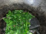 Tumis Daun Katuk