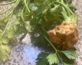 Une image de l'étape 1 de 🪹Crème🐄céleri🌿 chavroux🐐 noisettes🌰 🪶🕊️.