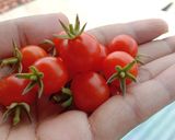Foto langkah ke 2 dari resep Sambel Goreng Ati Ampela (Cabai Jemprit).