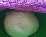 Foto del paso 8 de la receta: Pan árabe integral