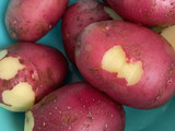 Potato wedges
