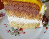 Foto del paso 10 de la receta: Tarta San Marcos Thermomix