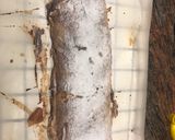 Foto del paso 9 de la receta: Strudel de manzana