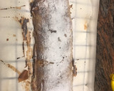 Foto del paso 9 de la receta: Strudel de manzana