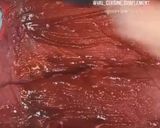 Une image de l'étape 2 de Un rôti de boeuf farci simple et rapide à réaliser.