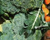 Foto del passaggio 1 della ricetta Scacciata con broccoli alla catanese