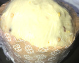 Foto del paso 7 de la receta: Pan dulce navideño!!🎄