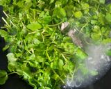 Foto langkah ke 6 dari resep 047. Sayur Kenci / Selada Air Masak Kuah.