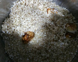 Foto del paso 3 de la receta: Arroz integral salteado con cebolleta y atún 😋🍽