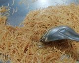 A picture of step 1 of Meethi Semiya.